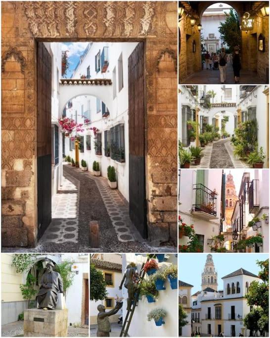 Apartamento Centrico En El Casco Historico De Cordova Esterno foto